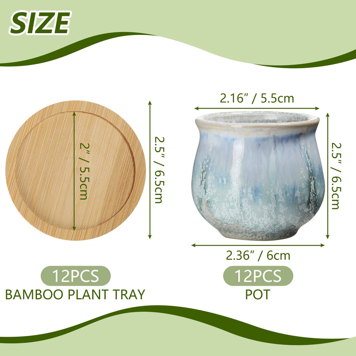 Remerry ceramic succulent pot shows drainage hole for healthy plant care