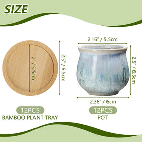 Remerry ceramic succulent pot shows drainage hole for healthy plant care