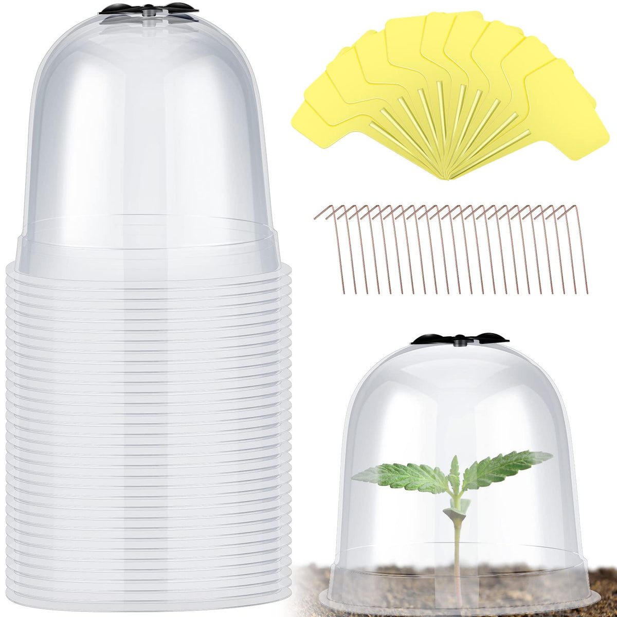 Remerry garden cloche clear bell covers shield seedlings from frost and pests.