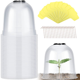 Remerry garden cloche clear bell covers shield seedlings from frost and pests.