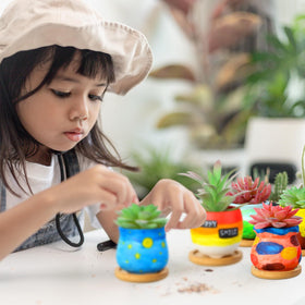 Remerry gift-ready packaging pots suitable for plant lovers