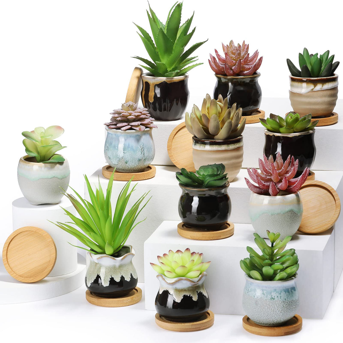 Remerry succulent pot with drainage hole for healthy watering.