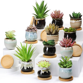 Remerry succulent pot with drainage hole for healthy watering.