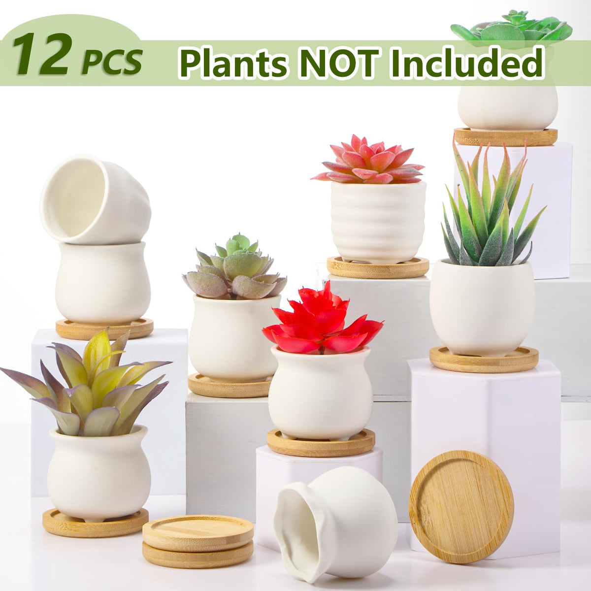 Remerry white ceramic pot showing drainage hole for healthy watering