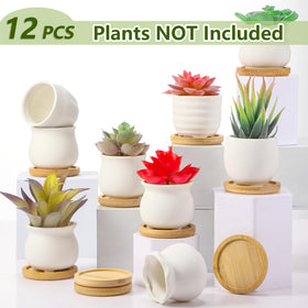 Remerry white ceramic pot showing drainage hole for healthy watering