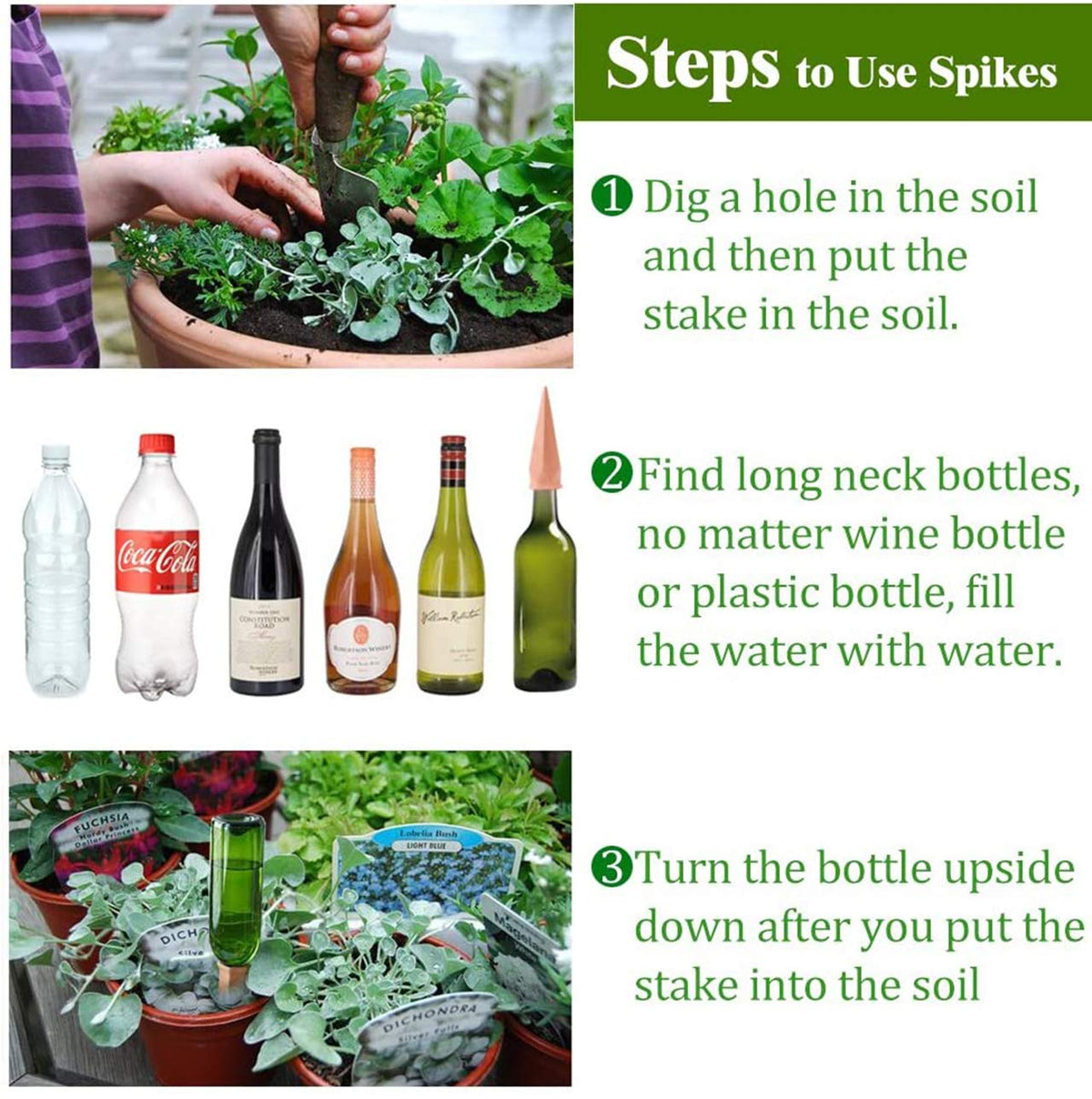 REMIAWY 4-pack packaging highlights economical, reusable watering solution