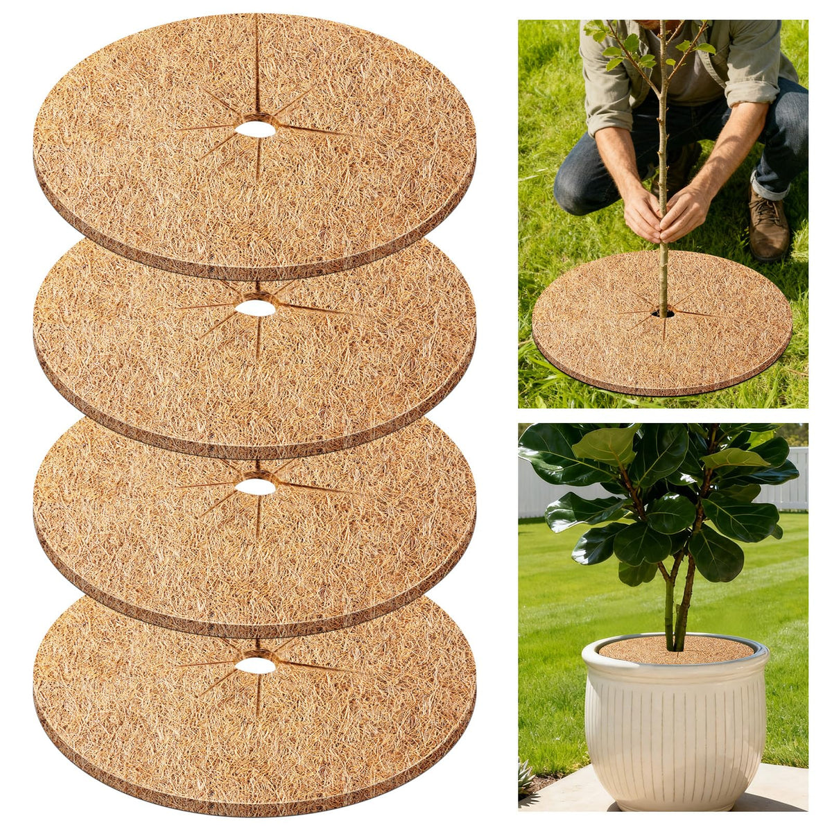 REMIAWY coconut coir tree ring around base enhances moisture retention and root protection