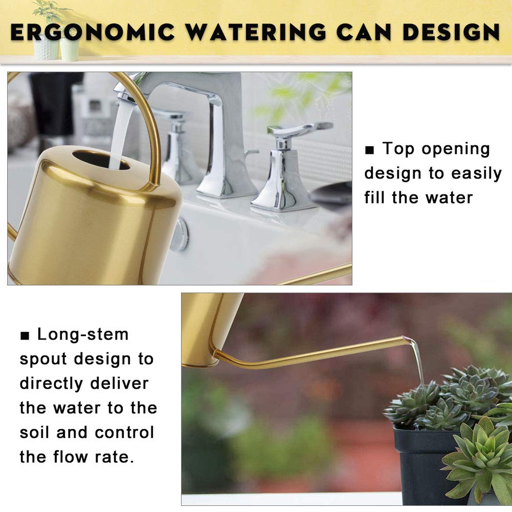 REMIAWY long spout directs water to soil with minimal splash