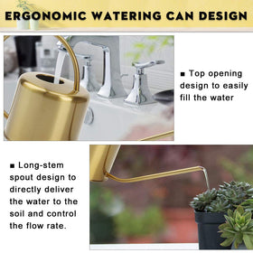 REMIAWY long spout directs water to soil with minimal splash