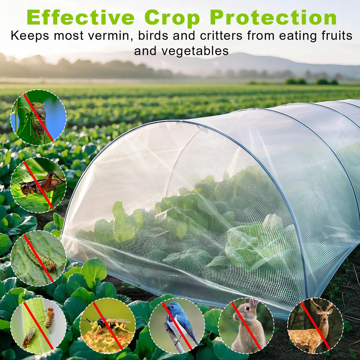 REMIAWY netting used with hoops as a row cover over seedlings
