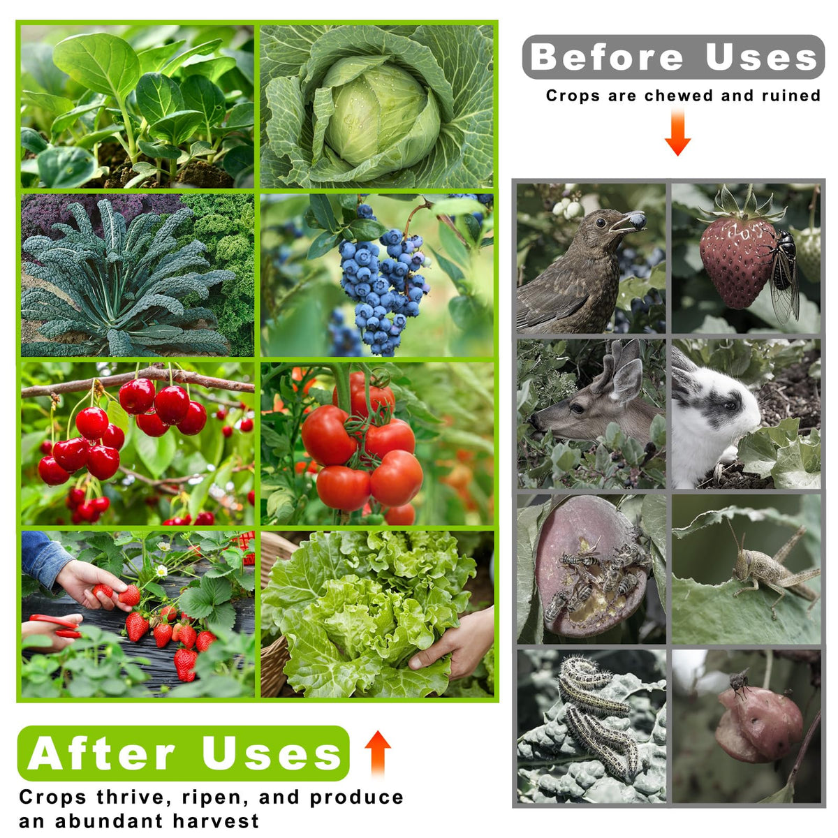 REMIAWY netting allows light and water through for healthy plants