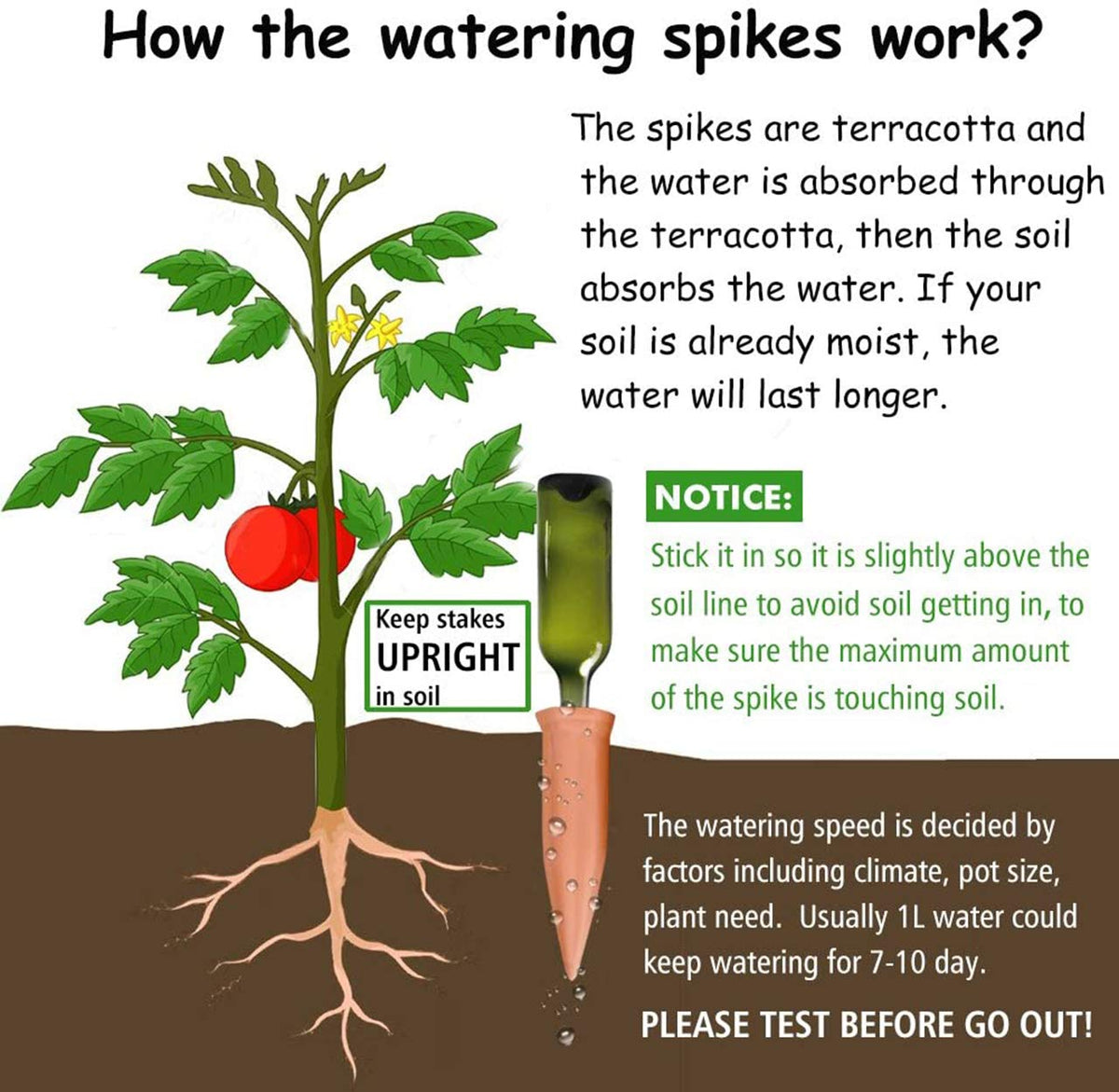 REMIAWY indoor-outdoor plant care using terracotta stakes for vacation watering