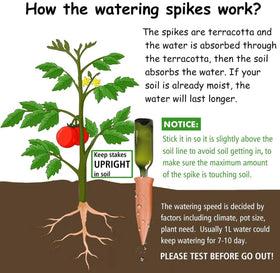 REMIAWY indoor-outdoor plant care using terracotta stakes for vacation watering