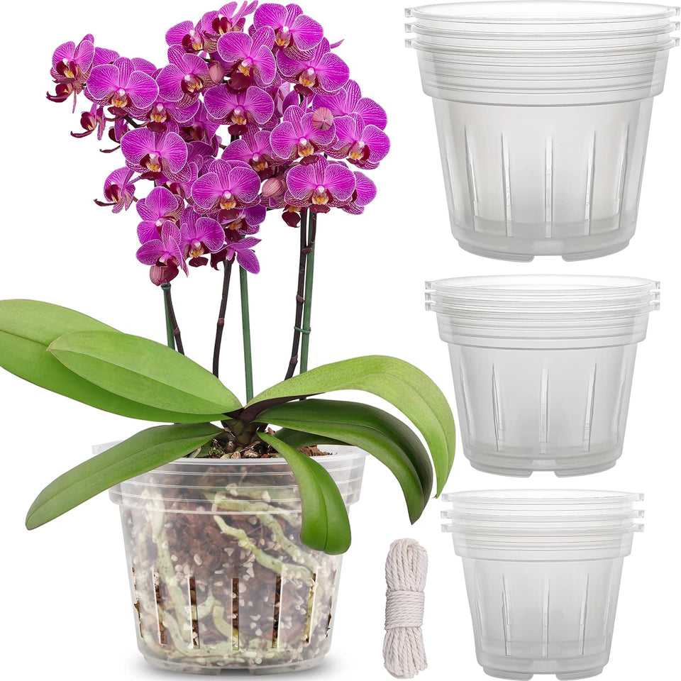 REMIAWY orchid pot 4.8-inch clear top view highlights root visibility and easy lifting
