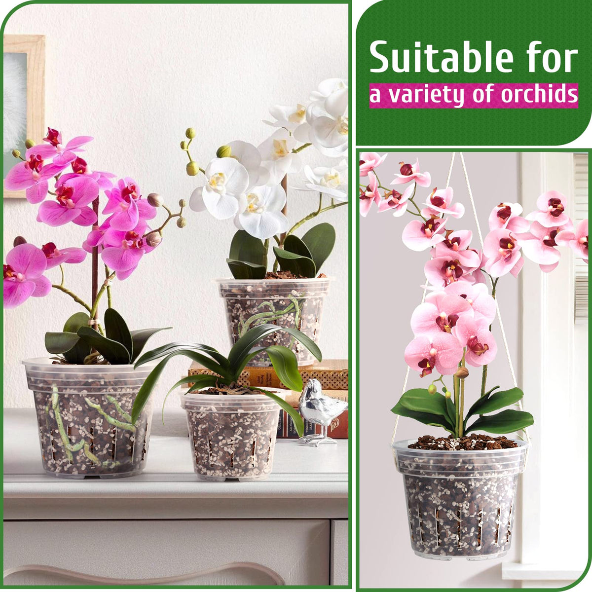 REMIAWY orchid pot 6.4-inch clear bottom view with raised center for drainage