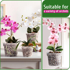 REMIAWY orchid pot 6.4-inch clear bottom view with raised center for drainage
