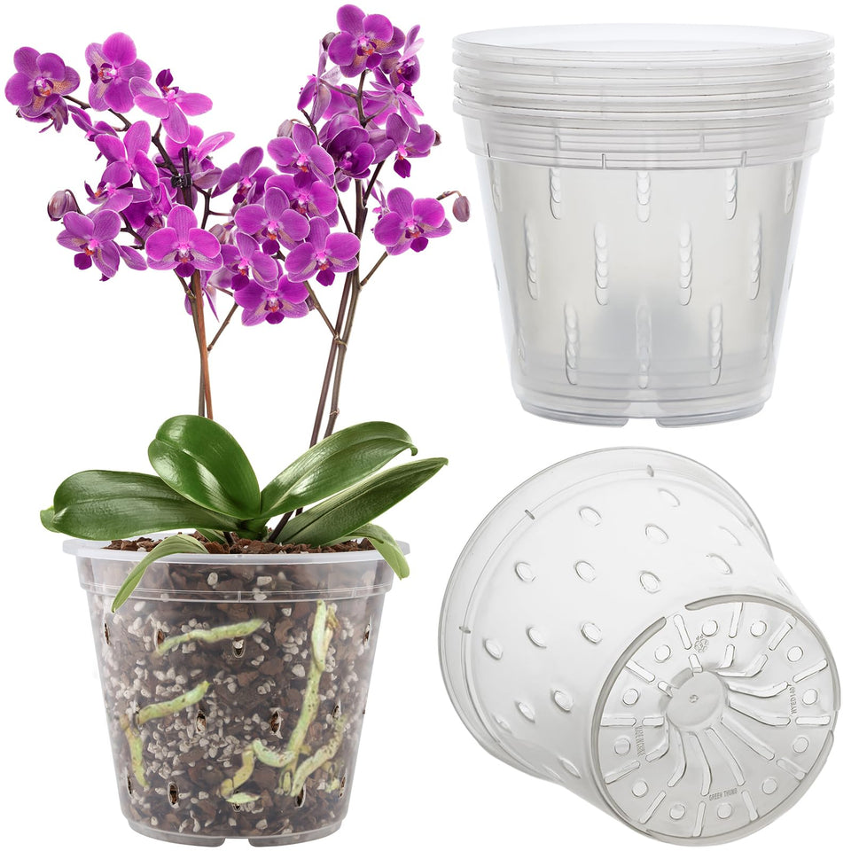 REMIAWY orchid pot clear 6-pack view highlights easy watering and root observation