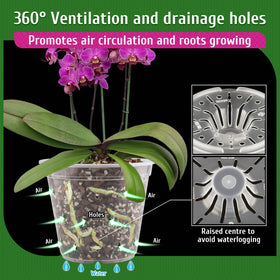 REMIAWY orchid pot clear interior view aids monitoring soil moisture