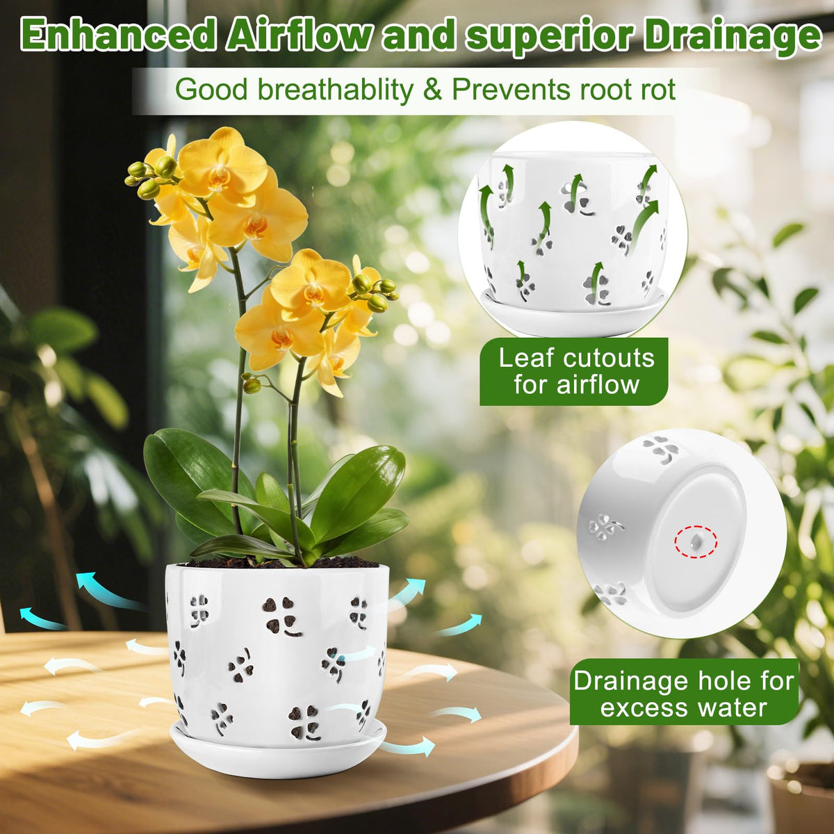 REMIAWY orchid pot features drainage holes and a saucer to protect surfaces.