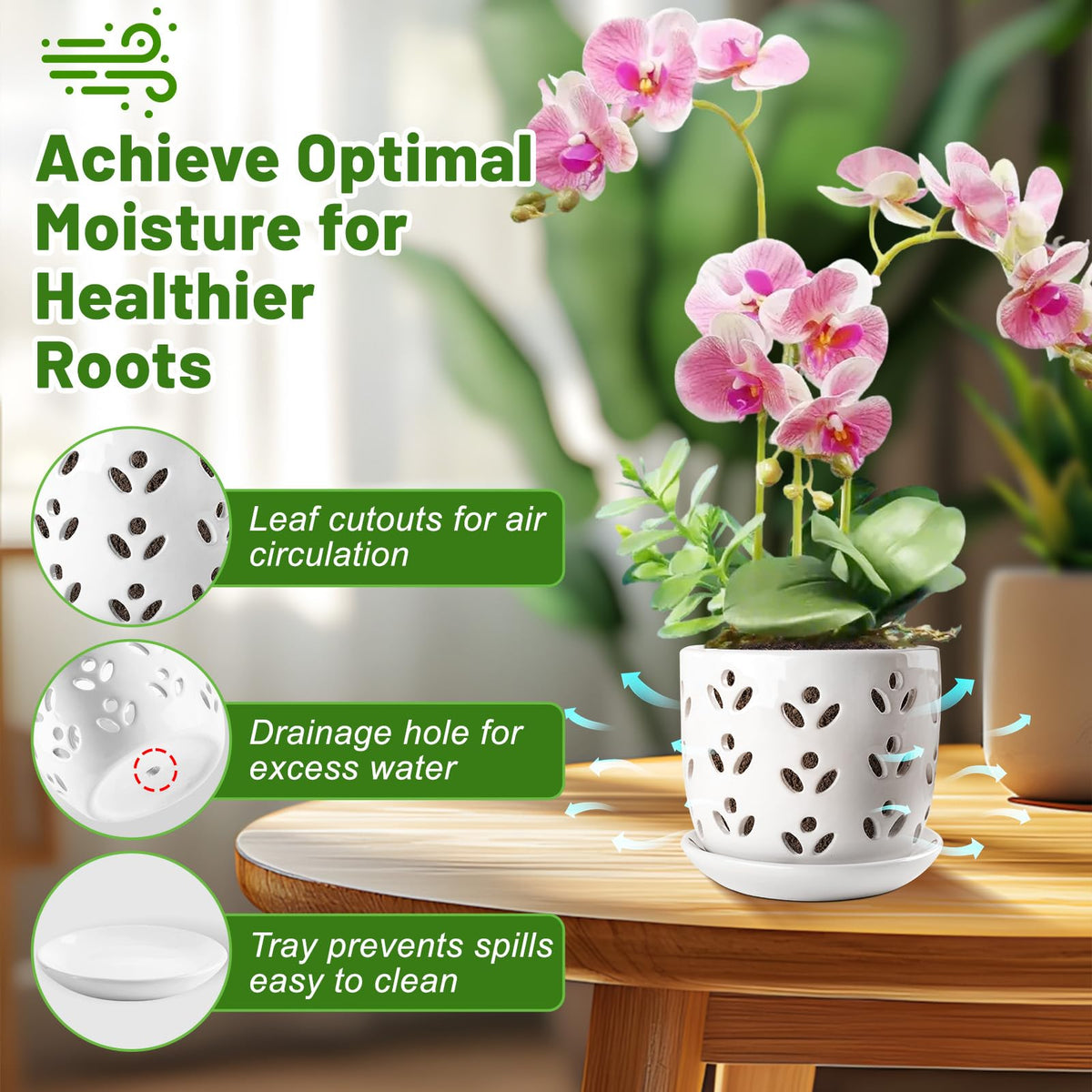 REMIAWY orchid pot demonstrates drainage holes and included saucer for moisture control