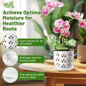 REMIAWY orchid pot demonstrates drainage holes and included saucer for moisture control