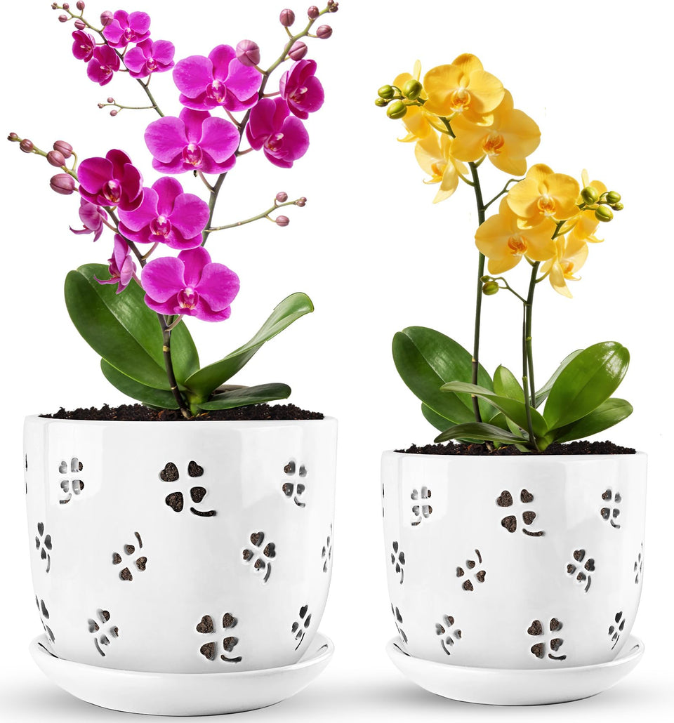 REMIAWY orchid pot four-leaf cutout design adds decorative flair for indoor spaces.