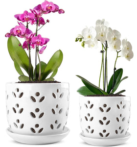 REMIAWY orchid pot, large 6-inch, white glaze with leaf pattern for elegant display