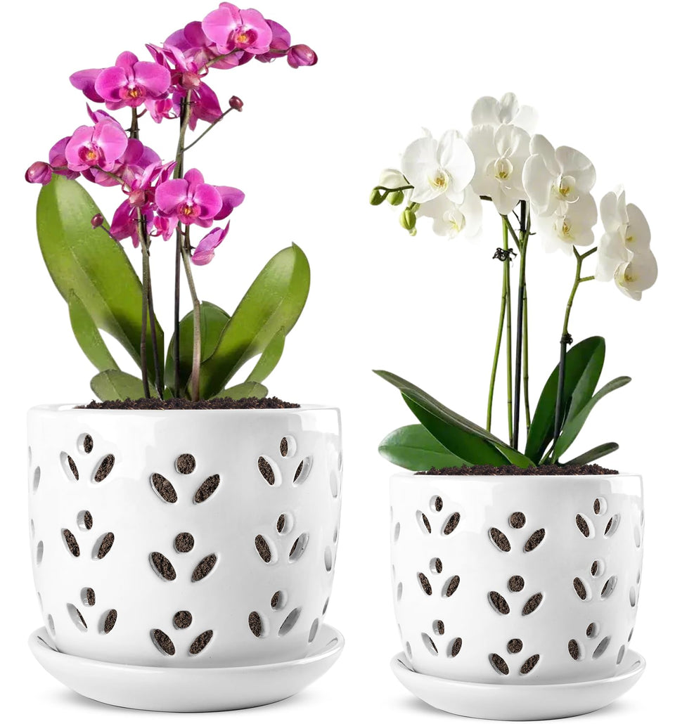 REMIAWY orchid pot, large 6-inch, white glaze with leaf pattern for elegant display