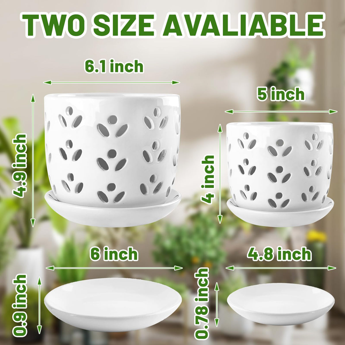 REMIAWY orchid pot shows decorative leaf pattern on white ceramic glaze