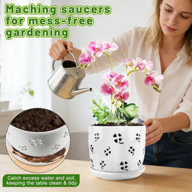 REMIAWY orchid pot on shelf demonstrates versatile indoor or outdoor display.