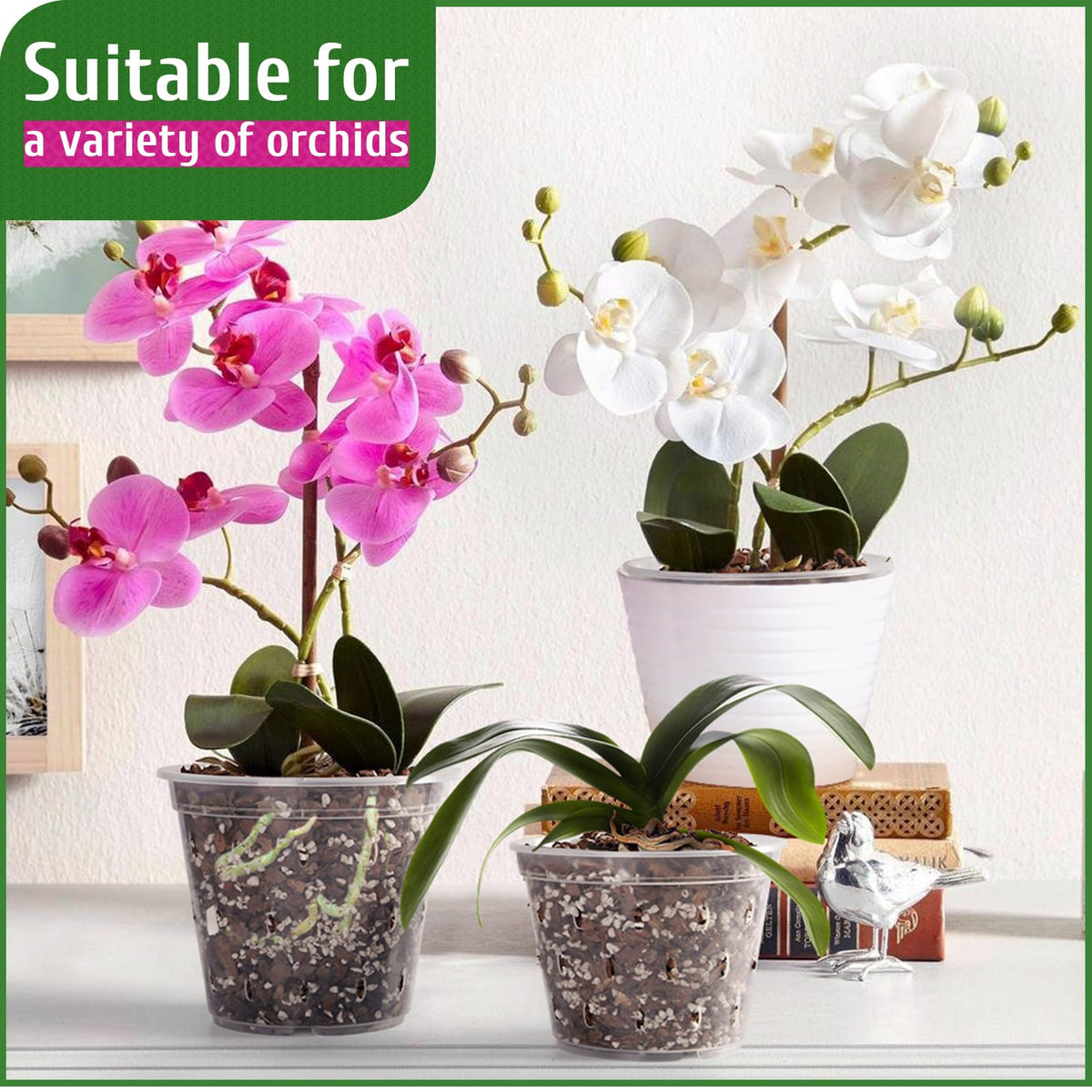 REMIAWY orchid pot repotting action supports easy plant transition