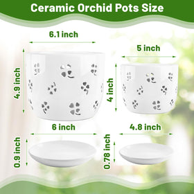 REMIAWY orchid pot 6-inch size highlights sturdy ceramic construction for long-lasting use.
