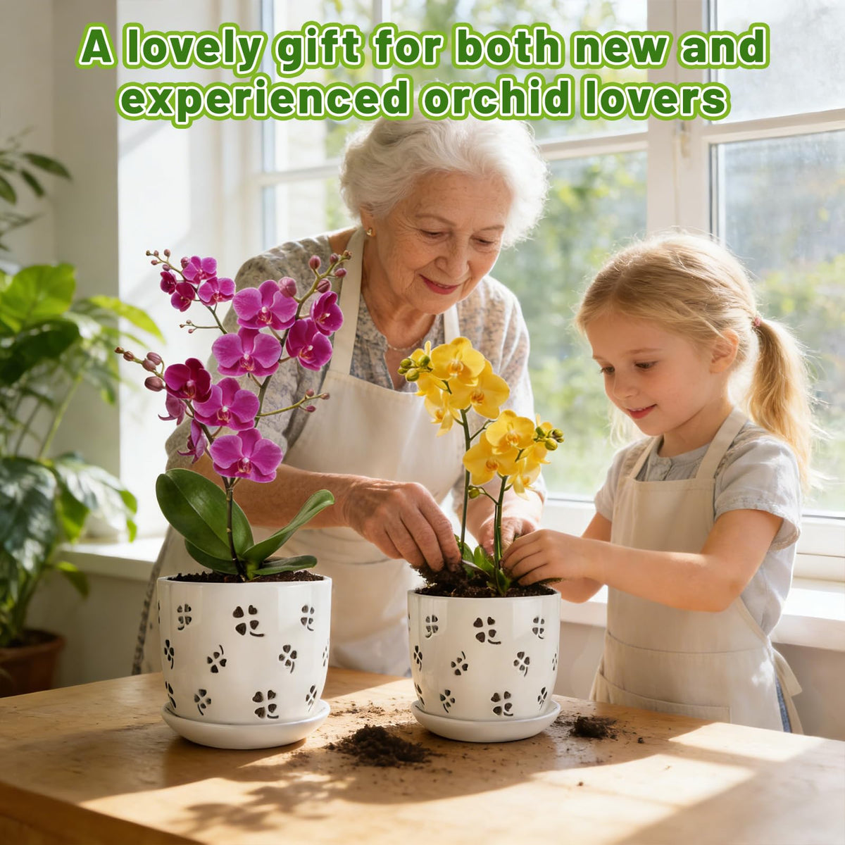 REMIAWY orchid pot two-pack ensures coordinated planters for multiple plants.