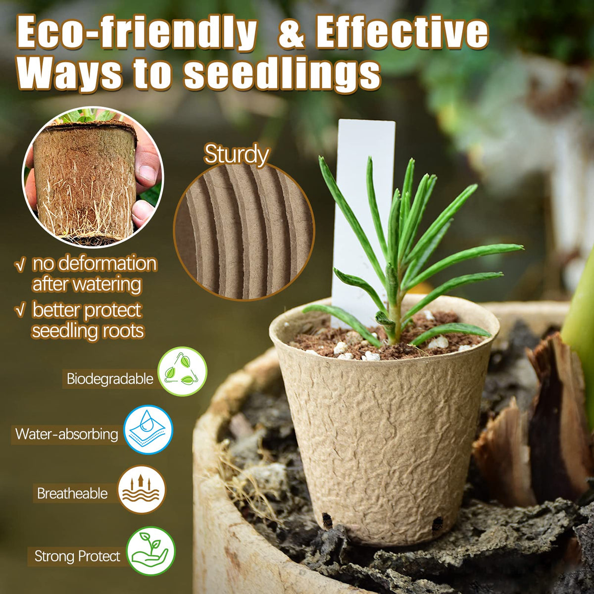 REMIAWY peat pots with drainage holes aid moisture control for seedlings.