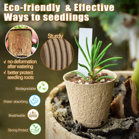 REMIAWY peat pots with drainage holes aid moisture control for seedlings.