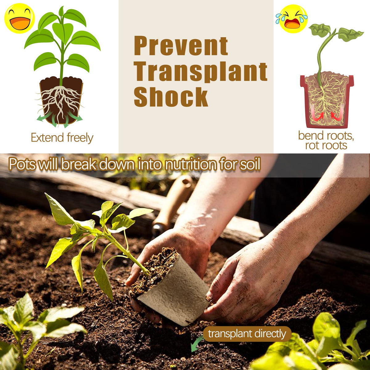 REMIAWY plant labels help you mark seeds and track progress easily.