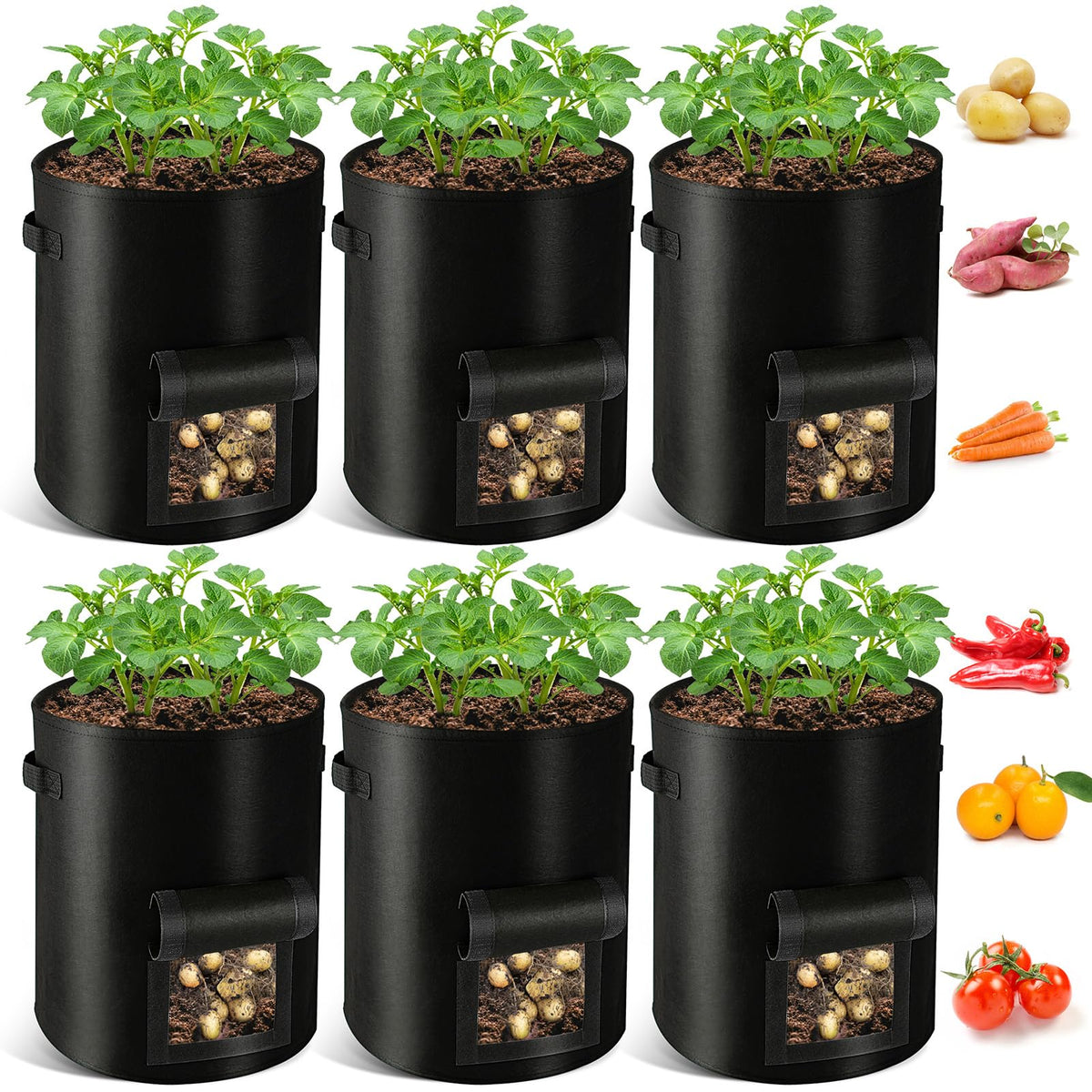 REMIAWY potato grow bags 6-pack ready for patio planting with portable handles.