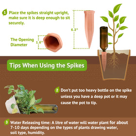 REMIAWY self-watering spikes for pots demonstrate steady moisture delivery