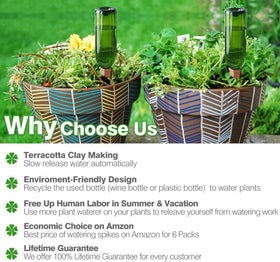 REMIAWY six-pack plant watering spikes enabling easy, hands-off irrigation