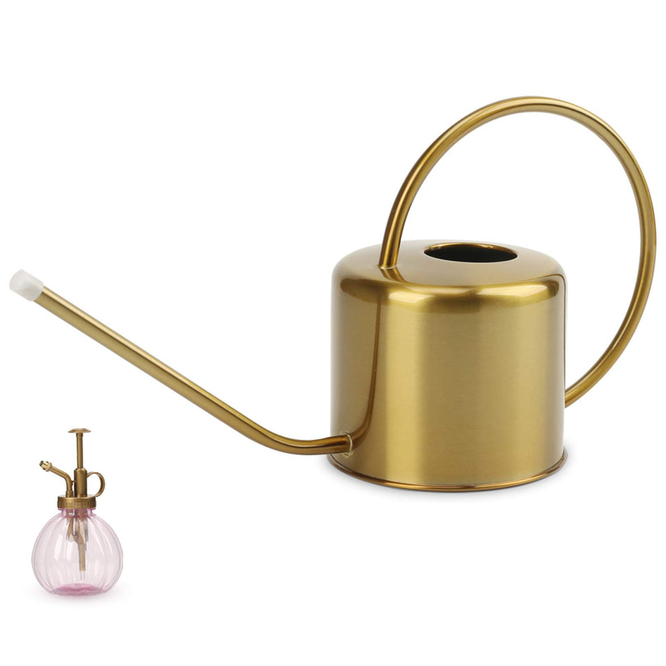 REMIAWY stainless steel watering can with long spout for precise soil watering