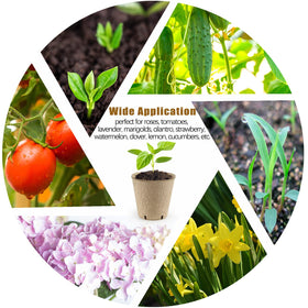 REMIAWY seedling pots suitable for vegetables, herbs, and flowers indoors or outdoors.