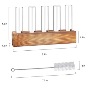 Renmxj ten glass test tubes ready for root growth and hydroponics