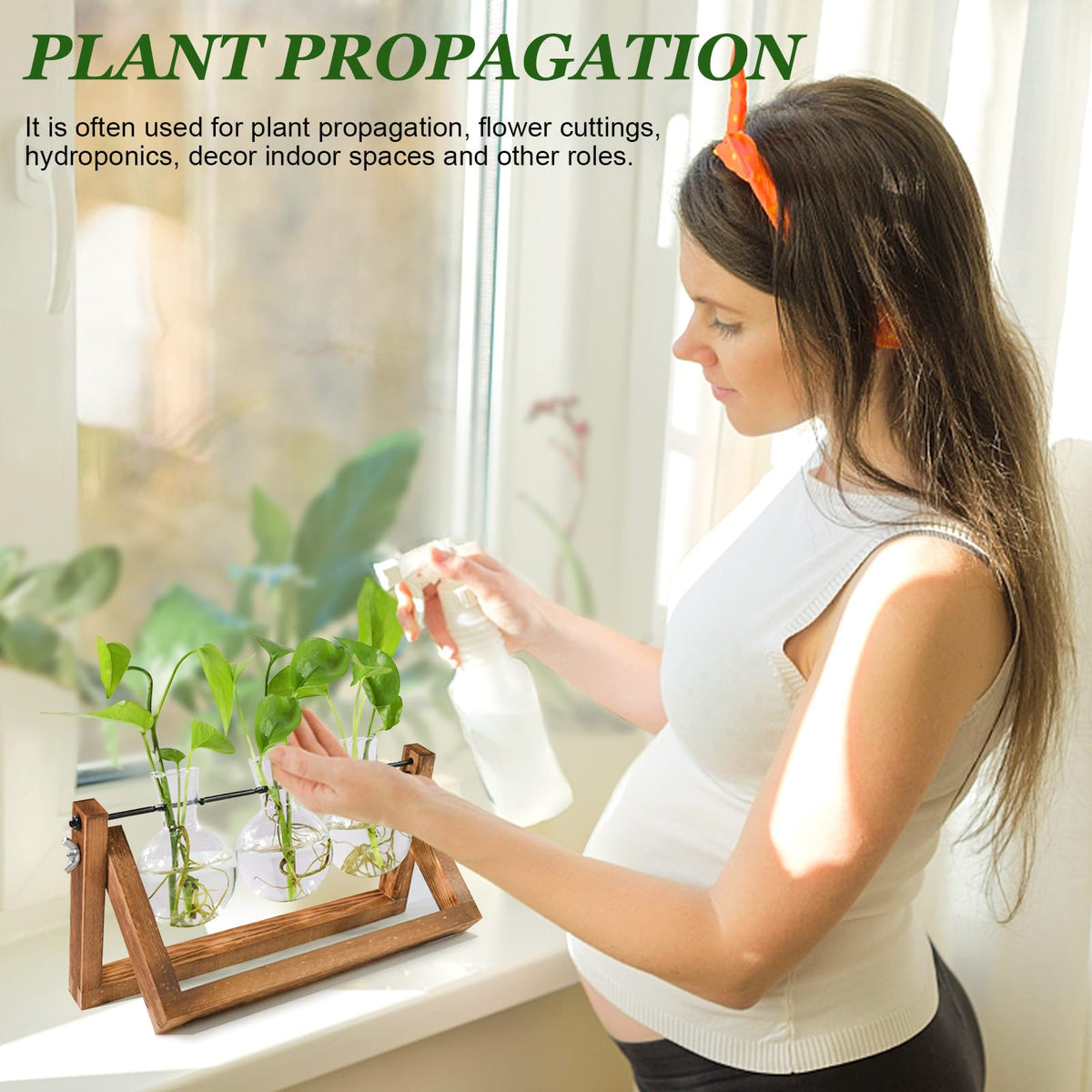 Renmxj c-shaped metal frame detail aiding easy watering and plant replacement