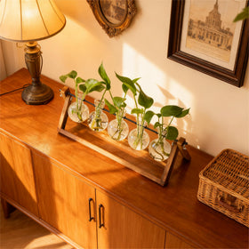 Renmxj Propagation Station with a C-type bracket enables easy watering.