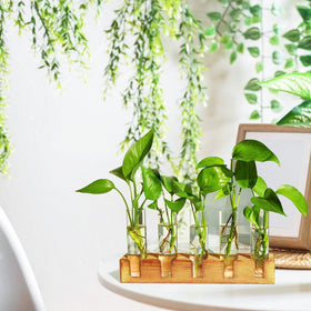 Renmxj compact propagation station fits small spaces on any surface