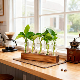 Renmxj gift-ready propagation station packaging for plant lovers