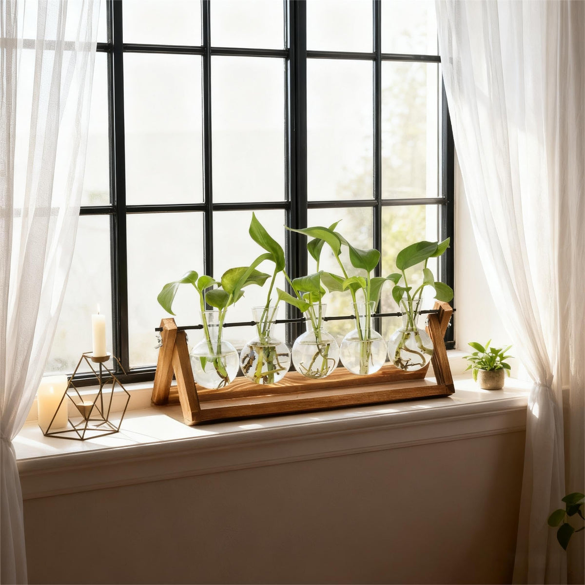 Renmxj Glass Vase Opening Detail highlights easy water changes.