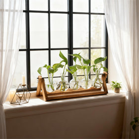 Renmxj Glass Vase Opening Detail highlights easy water changes.