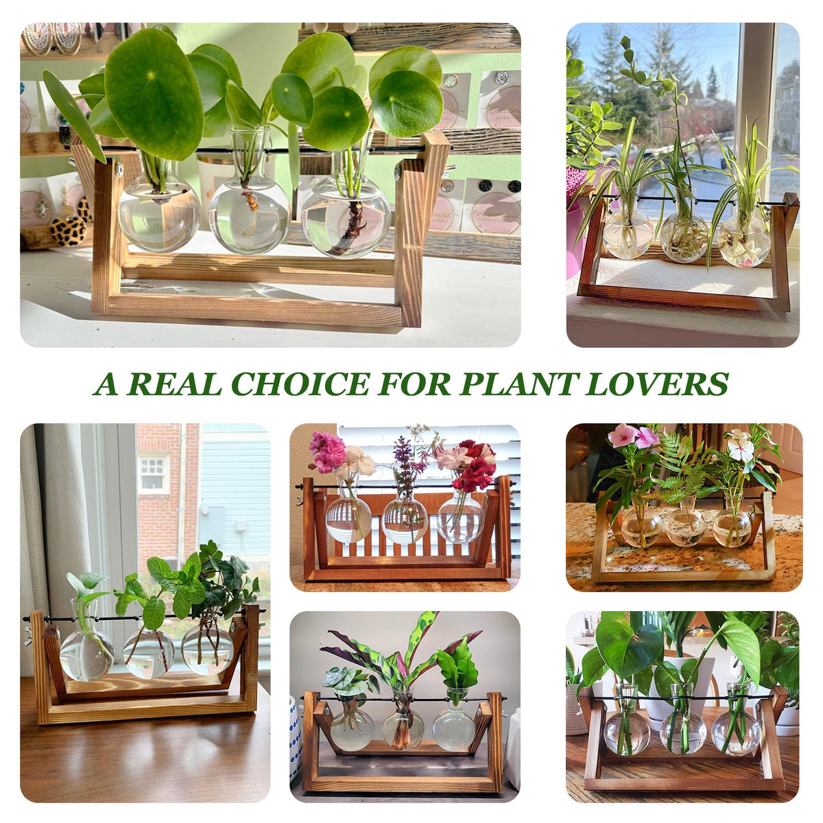 Renmxj natural wood frame close-up emphasizing sturdy, natural construction