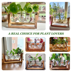 Renmxj natural wood frame close-up emphasizing sturdy, natural construction